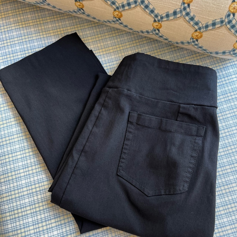 J. McLaughlin Black Masie Pants Size 4